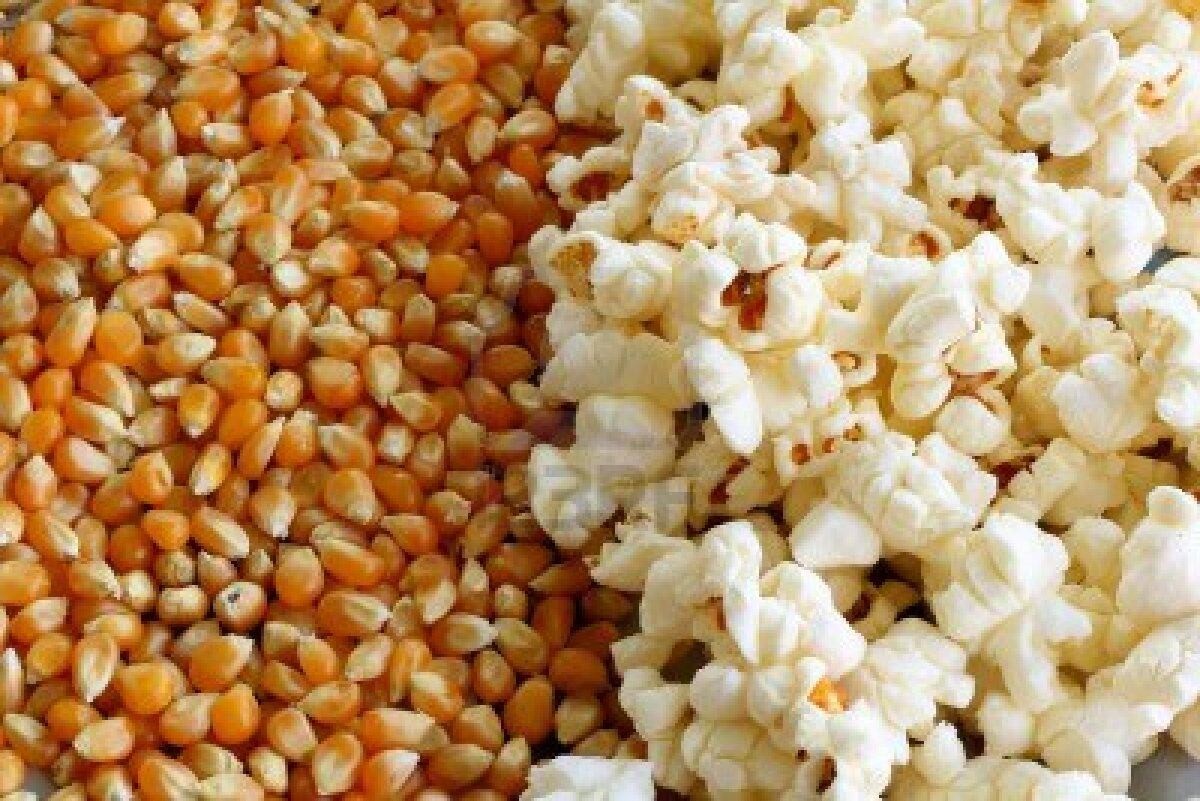 PopCorn Bhutta-500gm / Raw Popcorn / vutta