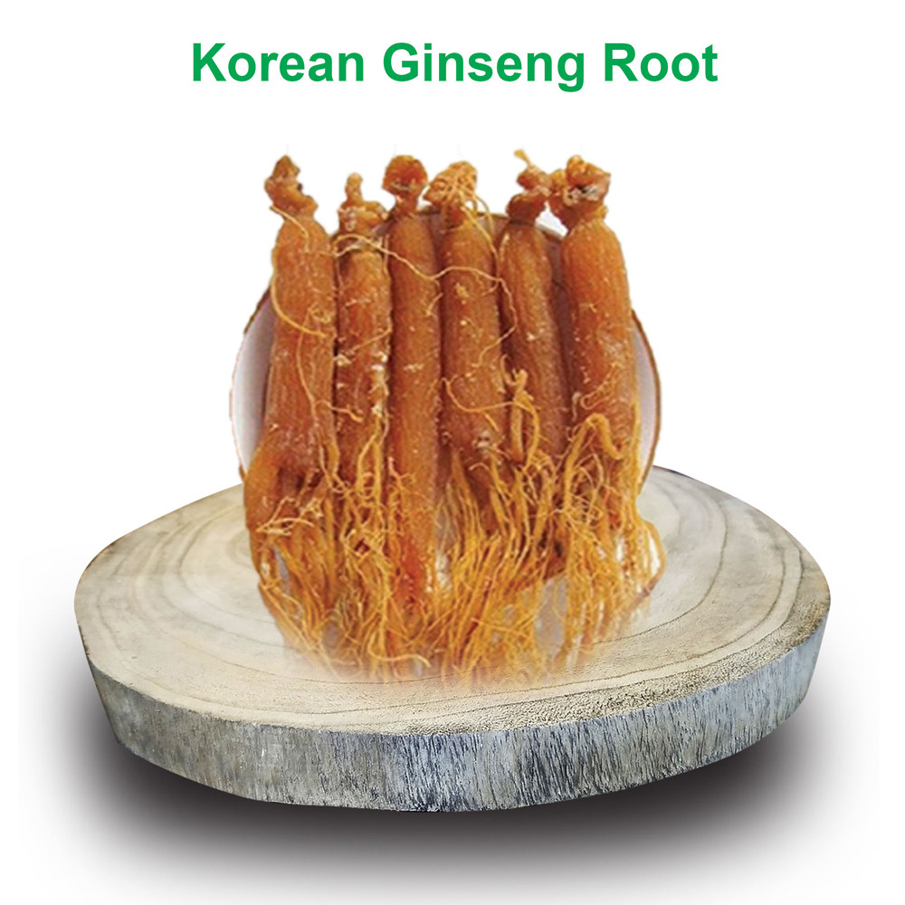 Korean Ginseng Root - 10gram