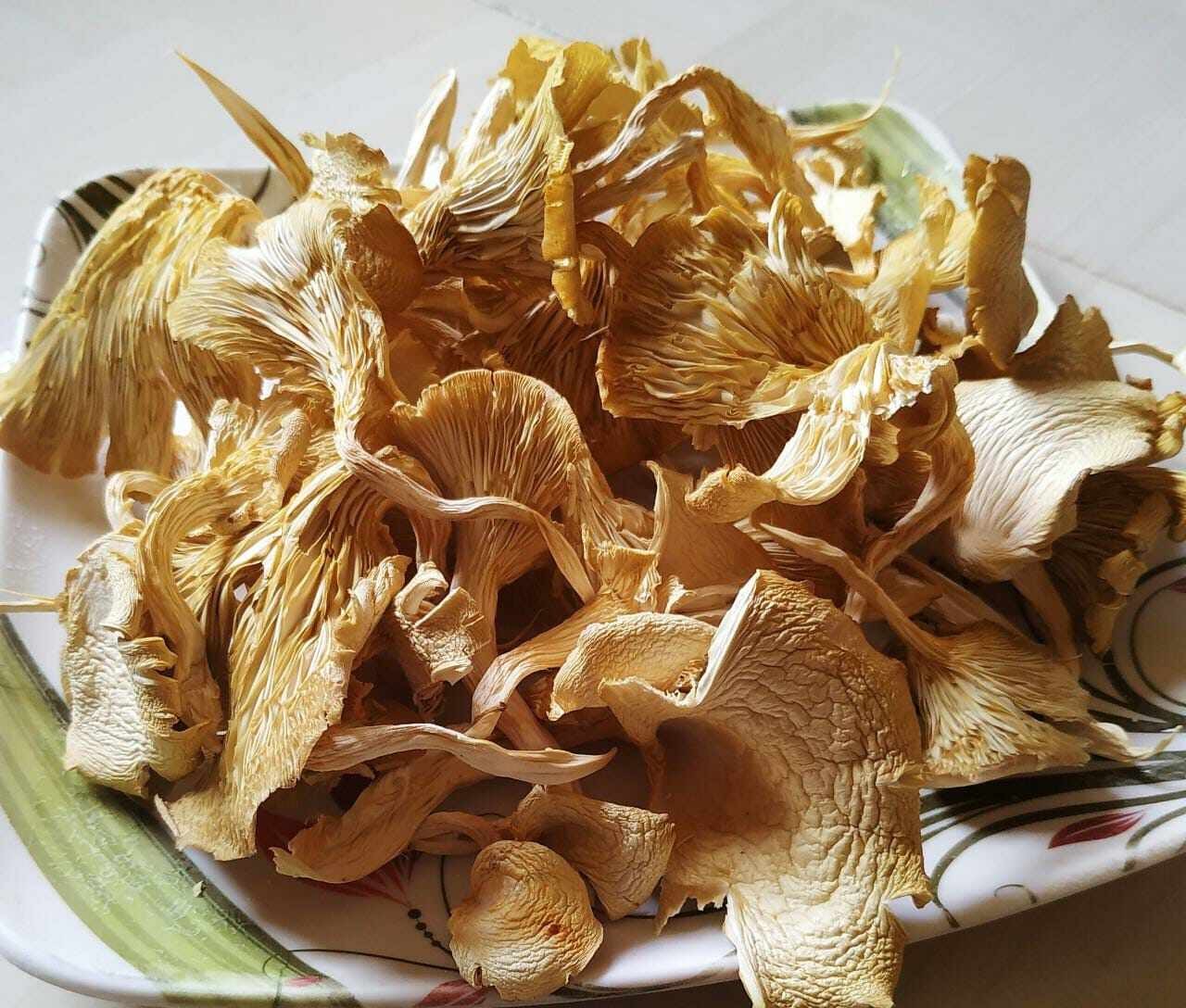 Mushroom/Dry Oyster Mushroom-50gm