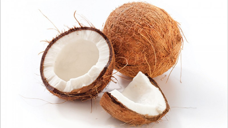 Coconut 2 pic