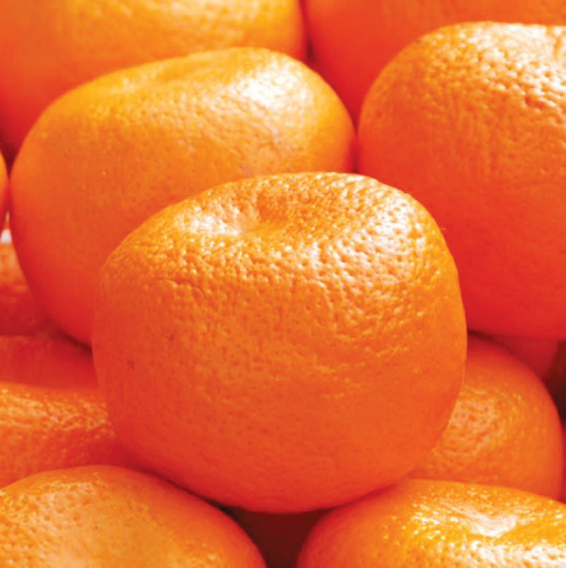 Orange Indian ( 1KG )