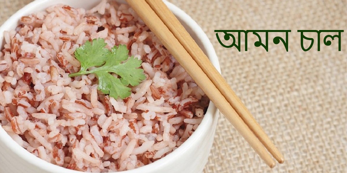 Organic and Premium Red RIce - 5 Kg