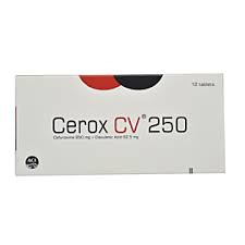 Cerox CV 250
