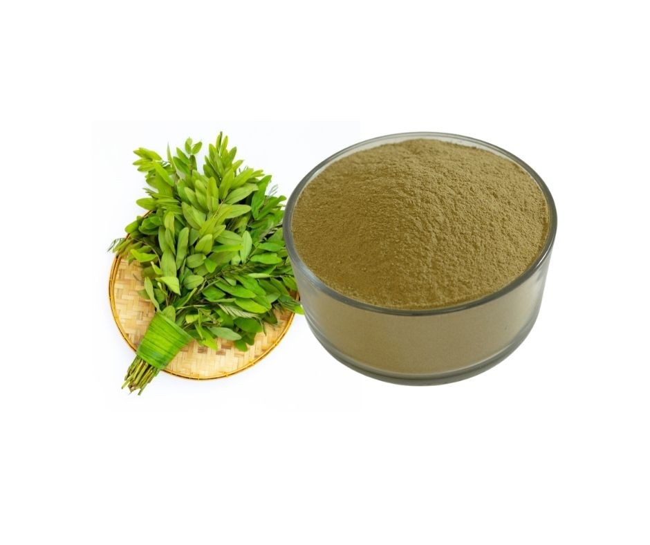 Senna Leaf Powder 100gm - Sonapata powder